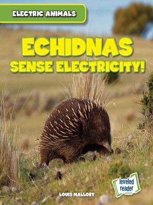 cover image of Echidnas Sense Electricity!